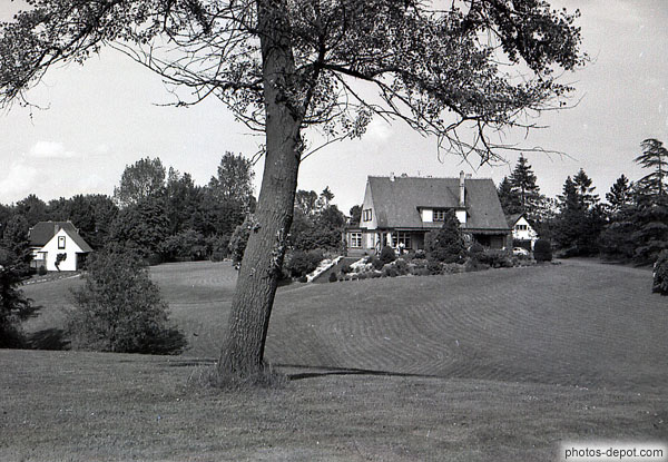 photo d'arbre devant la maison