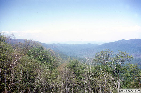 photo d'arbres dénudés devant les montagnes