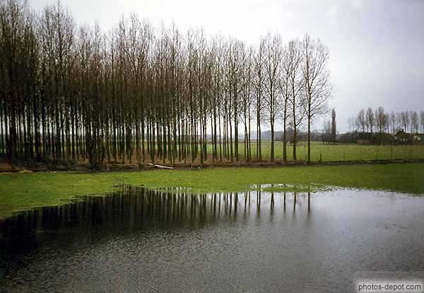 Peupliers Inconnu, Photo 1970