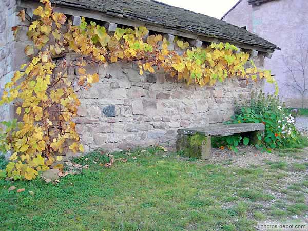 Banc de pierre et vigne vierge
