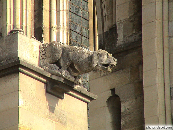 photo de Gargouille Chien assis