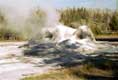 Upper geyser basin / USA, Wyoming, Yellowstone