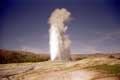 Old faithful geyser crache / USA, Wyoming, Yellowstone