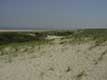 Dune / Hollande