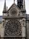 Détail de la rosace sud, cathédrale Notre Dame