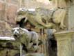 Gargouilles de chien et dragon, cloitre, cath�drale St Just