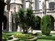 Jardins du cloître adossé à la cathédrale romane / France, Languedoc Roussillon, Narbonne