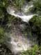 toiles d'araign�es