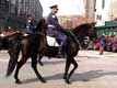 Policier à cheval / Canada, Quebec, Montreal, fête de St Patrick