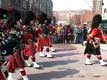 Défilé des soldats irlandais / Canada, Quebec, Montreal, fête de St Patrick