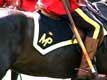 sigle de la police mont�e 
