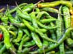 piments verts
