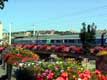 TGV / France, Bretagne, Redon