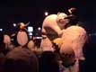 char pingouins et ours sur banquise