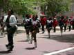 d�fil� de majorettes / USA, New York
