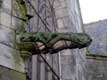 gargouille / France, Bretagne, Josselin