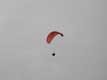 Parapente / France, Languedoc Roussillon, Perpertuse