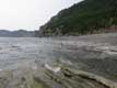 plage de galets fossiles, Parc Forillon / Canada, Gasp�sie, Gasp�
