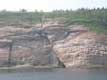 fous de bassan et oiseaux de mer sur la falaise / Canada, Gaspesie, Perc�, Ile Bonaventure