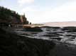 Baie de Fundy / Canada, Nouveau Brunswick, Fundy Hopewell Rocks
