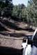 Jeep dans chemin forestier