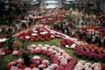 Expositions de fleurs