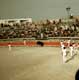 Corrida à Aigues mortes