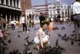 Femme aux pigeons devant tour de l'horloge / Italie, Venise, Torre dell Orologio