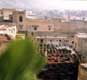 Teinturiers, quartier des tanneurs / Maroc, Fez