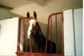écuries royales de 12000 chevaux / Maroc, Meknes