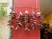 piments rouges suspendus � s�cher