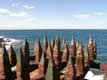 Pointes de fer rouillées face à la mer / France, Languedoc Roussillon, Collioure