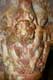 Lyons et serpents ornent le chapiteau ronde bosse de marbre rose, Animaux mythiques mÃ©diÃ©vaux / France, Languedoc Roussillon, Prieure de Serrabone