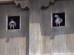 fen�tres � pigeons / Belgique, Bruges