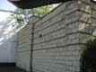 araign�e sur sa toile