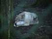 loup couch�
