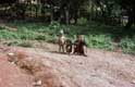 Enfants en lisière de la forêt / Thailande