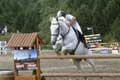Saut d'obstacle cheval blanc, ermitage de font Romeu / France, Languedoc Roussillon, Cerdagne
