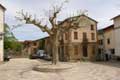 Platane trônant sur la place du village / France, Languedoc Roussillon, Estoher
