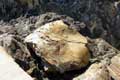 Couches de vase calcifi�es / France, Languedoc Roussillon, Collioure