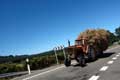 Tracteur et charrette � foin