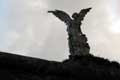 Ange ailé à l'épée : ange gardien de marbre sculpté par Limona , El Cemeterio