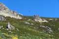 Aigles et rochers / Espagne, Cote Cantabrique, Picos de Europa, Puerto de San Glorio