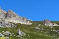 Vols d'aigles / Espagne, Cote Cantabrique, Picos de Europa, Puerto de San Glorio