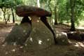 Table de pierre posée sur trois mégalithes / Espagne, Galice, Oleiros, Dolmen de Axeitos