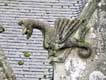 Dragon aux ailes en éventail et queue de serpent sur la collégiale / France, Bretagne, Rochefort en Terre
