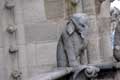 Chimère éléphant / France, Paris, Cathedrale Notre Dame