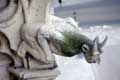 Diable gargouille / France, Paris, Cathedrale Notre Dame