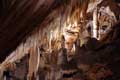 Plafond aux stalagmites / France, Languedoc Roussillon, Grandes Canalettes