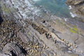 Formations rocheuses en bord de mer
